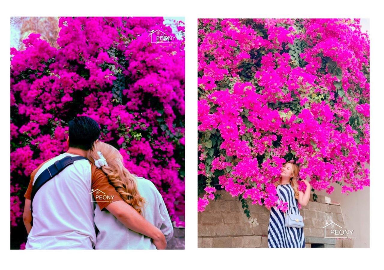 1 Seaview- 2 Gardenview 2Mins To The Beach - Luxury Condotel Phan Thiết Eksteriør billede